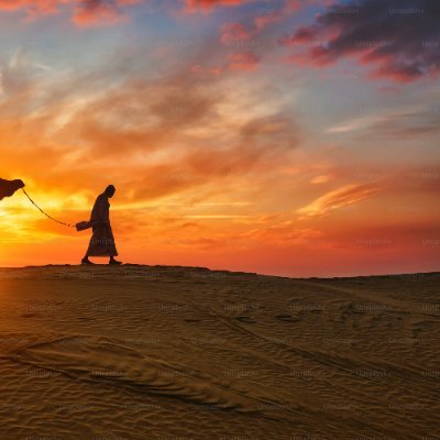 MbarkBdall60434's profile picture. 