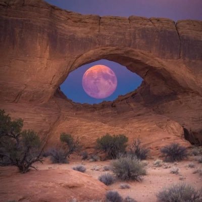 سبحان الله وبحمده سبحان الله العظيم