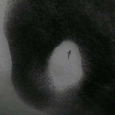 theoneshit666's profile picture. Web3 • Crypto Enthusiast 

SuccinctLabs OG 

ALL IN @SuccinctLabs