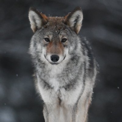 DJTP1979's profile picture. 