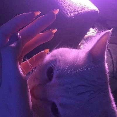 Skilled artist specializing in logos, banners, emotes, and more. Supporting small and large streamers with creative branding. Ready to bring ideas to life! ☺️
