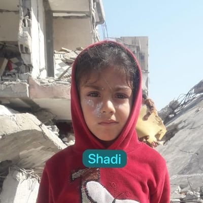 Shadi, a father and husband, I have 4 children at the age of roses. I hope to support my family and return the hope to my children.