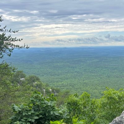 bigmadchad's profile picture. 