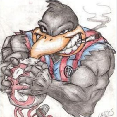 BOEDO1968's profile picture. 