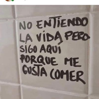 Analista del caos mundial, testigo protegido del apocalipsis ambiental, defensor del sentido común. #NobadDays