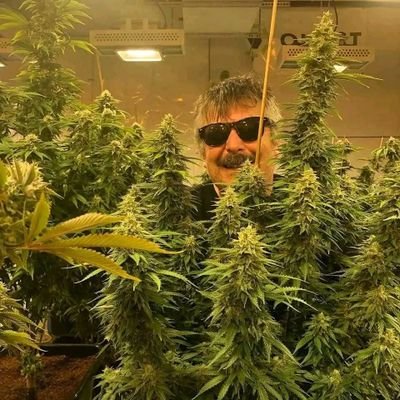 Cannabis enthusias and bud lover .
live and explore the benefit of medical marijuana at its best