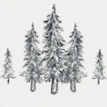 thecareerblaze's profile picture. 🧭 Helping you navigate your career journey