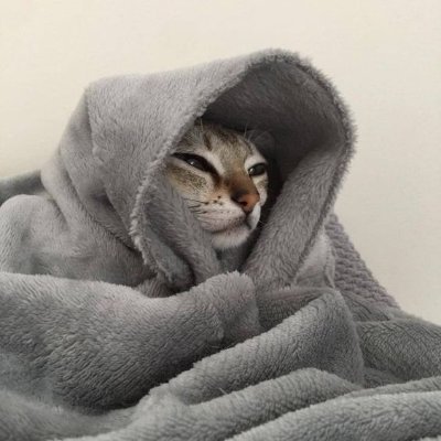 helledryn's profile picture. 