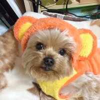 sparkling ROU (@427usa) 's Twitter Profile Photo