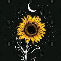 Noura💐 (@isdanilu) 's Twitter Profile