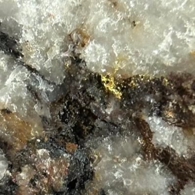 aurumm3um's profile picture. 🧠 AI-Powered Gold Maps 💰 $GOLDY Utility Token 🎥 YouTube Series + Forensic Geology Drops 🌍 Join the Gold Rush → https://t.co/JTOkY3YkV6