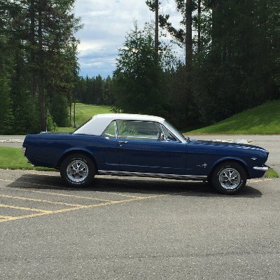 oldpappyy's profile picture. 