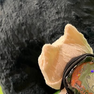 水樹さんのプロフィール画像