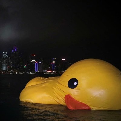 DreamingDuck's profile picture. 
