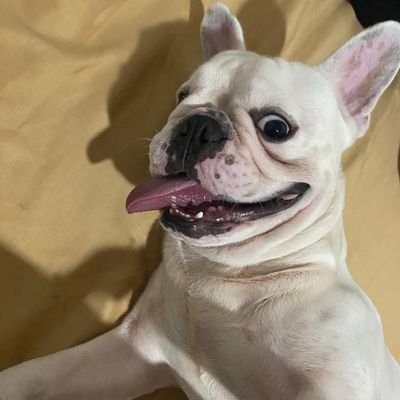 CHUKS_KBCxYGG's profile picture.