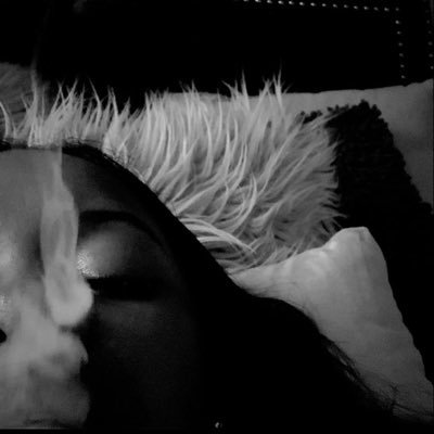 whamguapp's profile picture. bird brain.