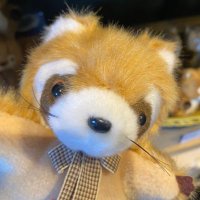ずち🐹🪽 (@ogihanano) 's Twitter Profile Photo ずち🐹🪽 (@ogihanano) 's Twitter Profile Photo