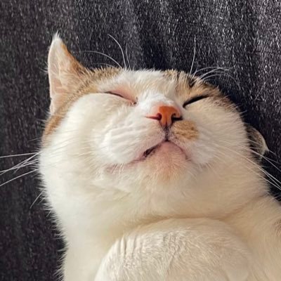 @ESQZQbrOxh73621