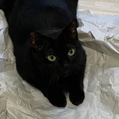 yatamaruuu's profile picture. BE:FIRST / BESTY / 特にRYUHEI・SHUNTO・MANATO推し🫶 HANA / HONEYs / 束推し🫶初心者ながら、どっちも同じ熱量で推してます❤️‍🔥たまに模写✏️無言フォロー&いいね失礼します🙇‍♀️