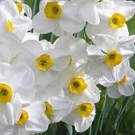 KhodadadiR97137's profile picture. یا غایه آمال العارفین