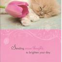 Helen Smiley - @smlyholly - Twitter