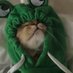Hyc Irko (@irkofn) Twitter profile photo Hyc Irko (@irkofn) Twitter profile photo