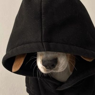 estoy aquí o para ser fumado o ser apoyado jeje
1/4