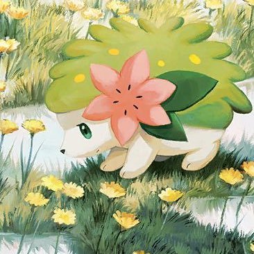 It’s All About Shaymin 🌸さんのプロフィール画像
