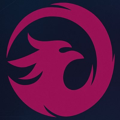 Phoenix Robotics Profile