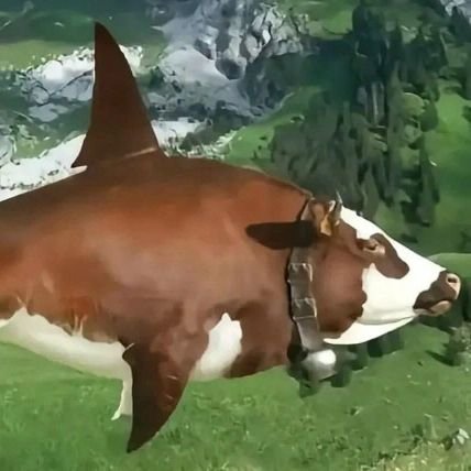 pawfawzia's profile picture. Assalamu'alaikum sahabat