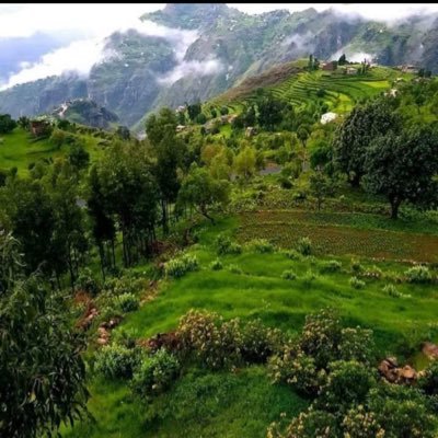 Almutairif523's profile picture. مستشار متفرغ و ناشط اجتماعي مهتم بالقطاع الخيري والتعاوني عضو مجلس الادارة بجمعيات اهلية وتعاونية بالرياض