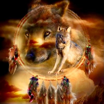 bellelune21's profile picture. 