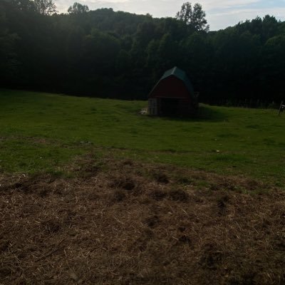 sto7gg's profile picture. idk