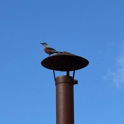 rI22Wtp37I98856's profile picture. SE◯3P3P R◯8