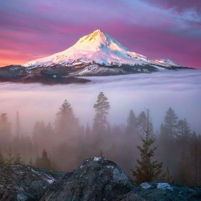 Justalonefinch's profile picture. Just Another Day watching the dystopia.