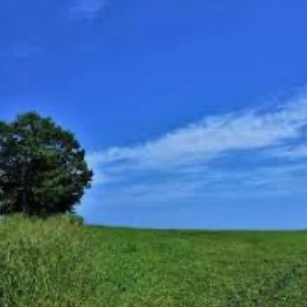 3dReMd6S8Ib1YAX's profile picture. 心理職