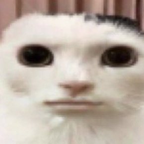 touched_su70's profile picture. 내 인생에 여자는 조윤민밖에 없단다 @band_touched