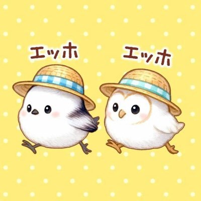 ☆沙琉☆さんのプロフィール画像