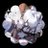 Profile image of Daily Von Lycaon