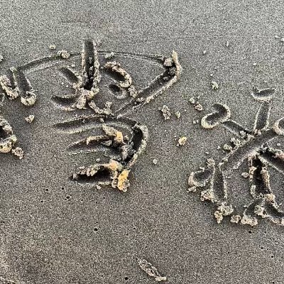 AlicerinXWX's profile picture. 蝴蝶美丽 怕霜雪来出卖