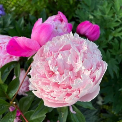 imawasif's profile picture. Writing, taking photos, thinking about how the world works
Written for my future self and for people on the same path