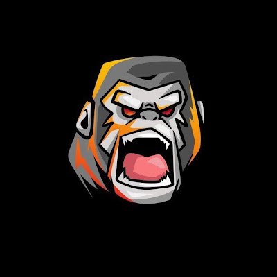 _UniqueApe's profile picture. 🦍 Investor and Altcoin trader in #Crypto | Onchain trader | NFA 🎰