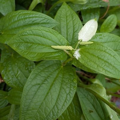 tjkt1103's profile picture. 