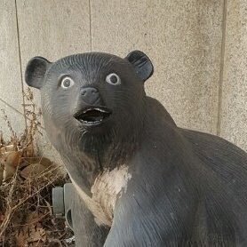 🐻🐻さんのプロフィール画像