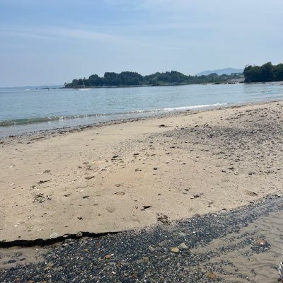 皆さん、初めまして！スバです。主にカクヨムの方で活動しています。よろしくお願い致します🙇‍♂️
