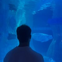 lucas Ciampi (@lucas_ciampi) 's Twitter Profile Photo lucas Ciampi (@lucas_ciampi) 's Twitter Profile Photo