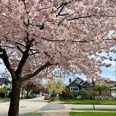 j_06022's profile picture. believe in oneself