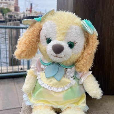 romiiitn's profile picture. ロルカナ交流垢ʕ•ᴥ•ʔTCG歴ゼロからスタートしました。ディズニーを愛しています。イルミニアさんと沢山交流したいです🐶✨ 他者や作品を傷つける発言/過激な表現/作品いじりの下ネタ等はTLに出現したら反射ブロックしてしまいます🛡️ 平和に楽しく！ディズニー語りはウェルカムです🙌