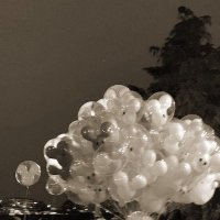 mi (@eee1584071) 's Twitter Profile