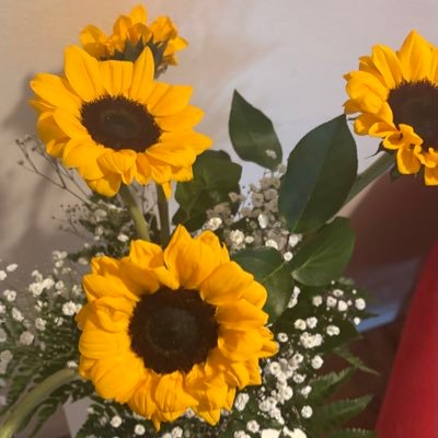 CTRLfitDelete's profile picture. Here to shock—you’re into that.